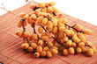 Sea buckthorn berries. Shot in a studio.