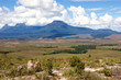 Tepui in Gran Sabana, Venezuela, South America Tepui in Gran Sabana, Venezuela, South America
