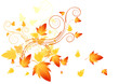 Abstract swirls of nature. Vector illustration. Abstract swirls of nature. Vector illustration.