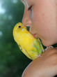 Kind mit Wellensittich