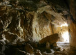Cave