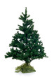 Christmastree not decorated isolated on white background Christmastree not decorated isolated on white background
