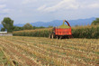 agricoltura