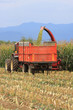 agricolture