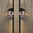 Intenese Eyes! Intenese Eyes!