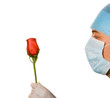 doctor with beautiful red rose on white background