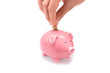 Save money with piggy bank! Save money with piggy bank!