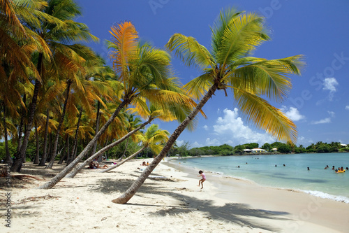 Photo: plage des salines Martinique2 plage des salines Martinique2