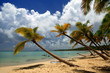 plage des salines 3