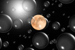 Bulles de lune