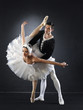 Ballet dancers