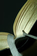bibel