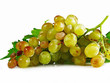 grappe de muscat d'Alexandrie