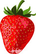 Ripe berry a strawberry on a white background