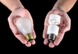 An offering of two different light bulbs