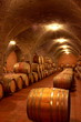 Weinkeller,Rotwein im Barrique Faß ausgebaut,Toskana,Italien