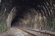 railroad tunnel of the Circum-Baikal Road