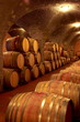 Weinkeller,Rotwein im Barrique Faß ausgebaut,Toskana,Italien