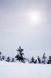 Winter landscape in Lapland Finland