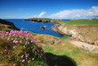 Seacoast of Ireland