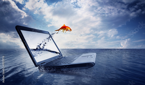 Photo: Goldfish jump out of the monitor at ocean Goldfish jump out of the monitor at ocean