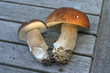2 cèpes sur un table en teck