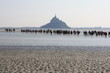 traversée de la baie du mont saint michel traversée de la baie du mont saint michel