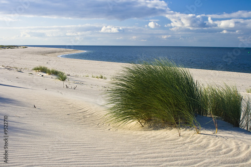 Foto: Gras am Strand Gras am Strand