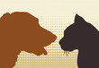 chien & chat