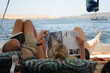 Leture sur le felouque, Egypte Leture sur le felouque, Egypte