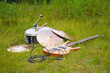 musical instruments, guitar, drum, plates on grass. musical instruments, guitar, drum, plates on grass.