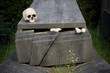Halloween scene of broken bones and skull on a tombstone