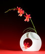Vase with orchids in a japanese ikebana design