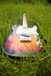 Guitar in grass Guitar in grass