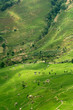 riziere de montagne (Yunnan - Chine) riziere de montagne (Yunnan - Chine)