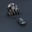3D rendering of a world globe, www