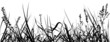 Grass Silhouette 02 - detailed illustration