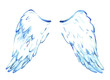 wings of the angel
