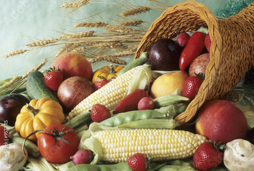 Photo: harvest cornucopia harvest cornucopia