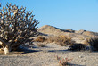 Namibian landscape