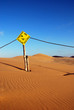 Dunes of the Namib desert