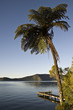 New Zealand, Rotorua
