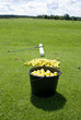Gelbe Golfbälle am Abschlag Gelbe Golfbälle am Abschlag