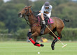 Photos : Openpolofrance015