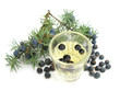 Plum brandy with juniperus berries