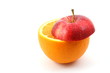 fresh fruits isolated on a white background fresh fruits isolated on a white background