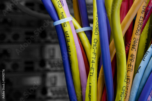 Photo: Color cables in the back of the server rack Color cables in the back of the server rack