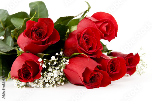 Foto: Rote Rosen sind gern geschenkte Blumen Rote Rosen sind gern geschenkte Blumen