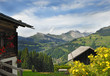 paysage de montagne