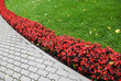 Fowers bordering the grass at the park. Riga, Latvia.